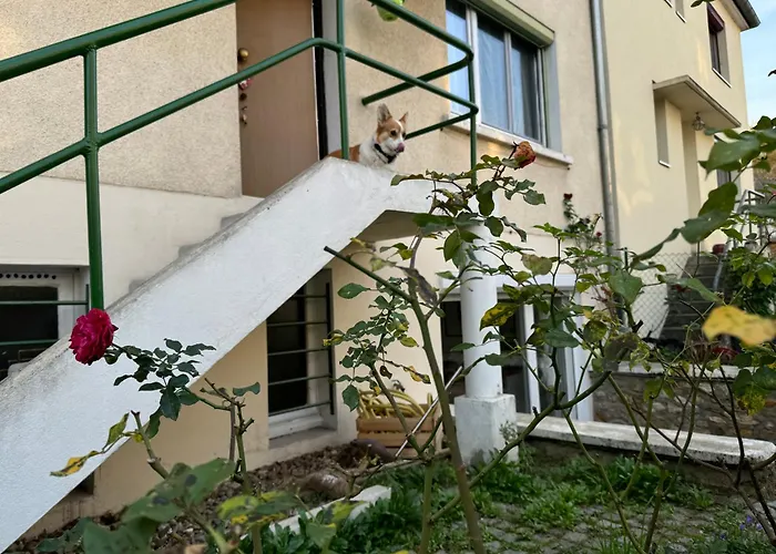 Maison Louise 3*