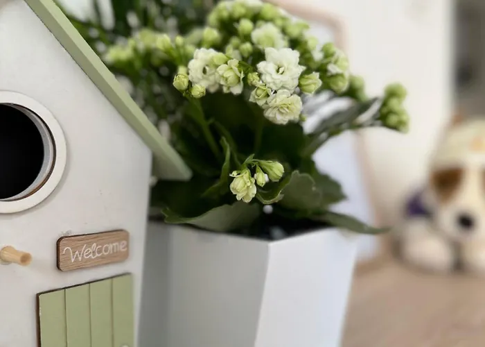 Maison Louise Créteil